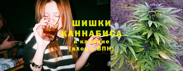 МДПВ Бугульма