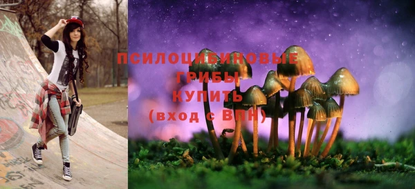 МДПВ Бугульма