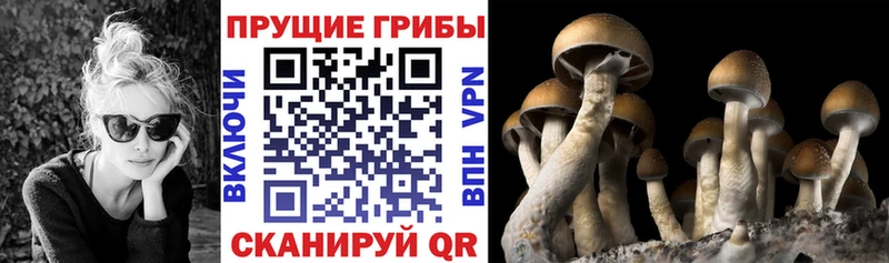закладки  Киреевск  Галлюциногенные грибы ЛСД 