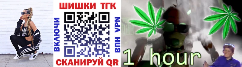 Шишки марихуана план  закладки  Киреевск 